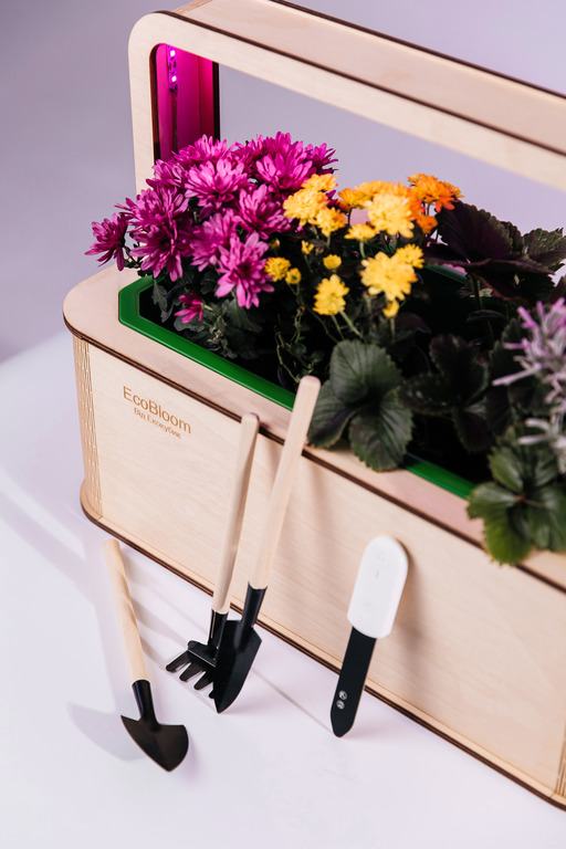 EcoBloom Smart Garden Розумний сад вдома